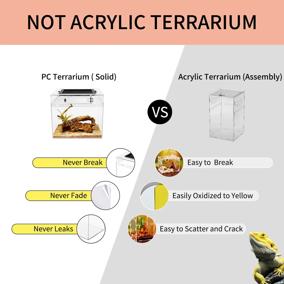 Reptile Growth PC Terrarium Reptile, 8" x 8"x 7" PC terrariums avec Vue complète visuellement Attrayante, Vivarium pour Léopard Gecko Barbu Dragon Lézard Escargot Tarentule Serpent Tortue