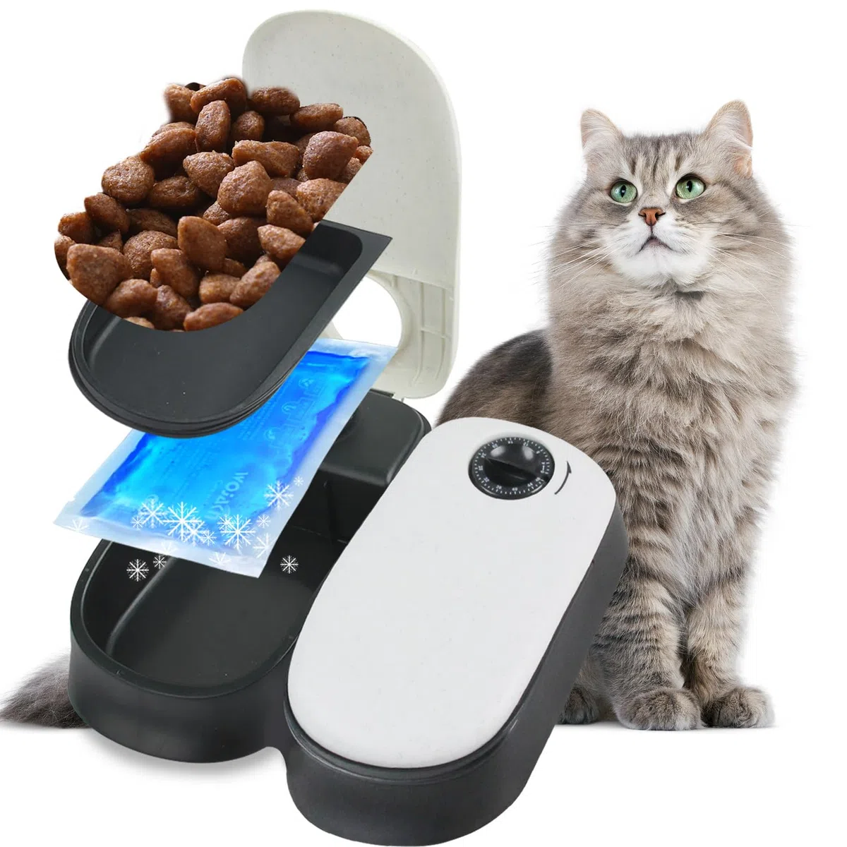 PAWISE Mangeoire Automatique pour Chats Et Chiens, Mangeoires Automatiques pour Animal de Compagnie avec Minuterie Et Poche De Glace, à Utiliser avec des Aliments Secs et Humides (2 Repas)