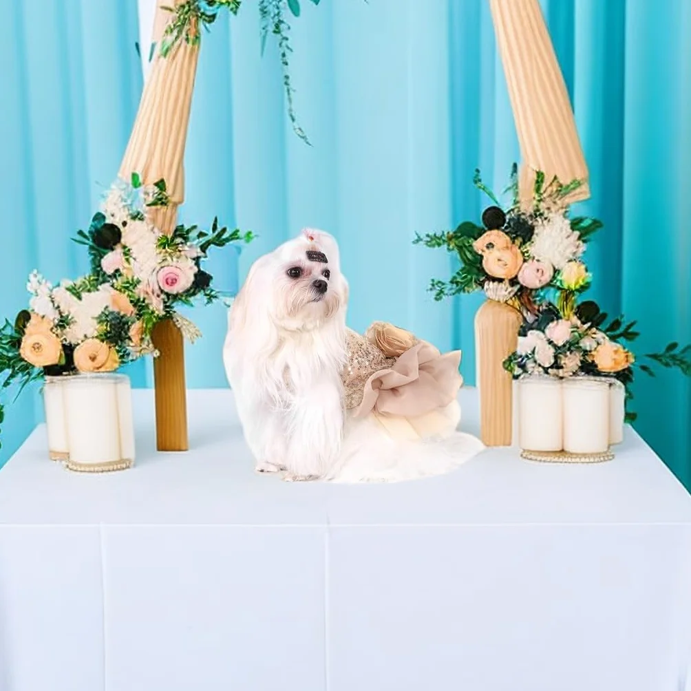 Robe de Mariée pour Chien Pailletée Dentelle Tutu Jupe Princesse Chiot pour Cérémonie Fête Photo Accessoire Animal Compagnie Mariage Petite Grande Taille