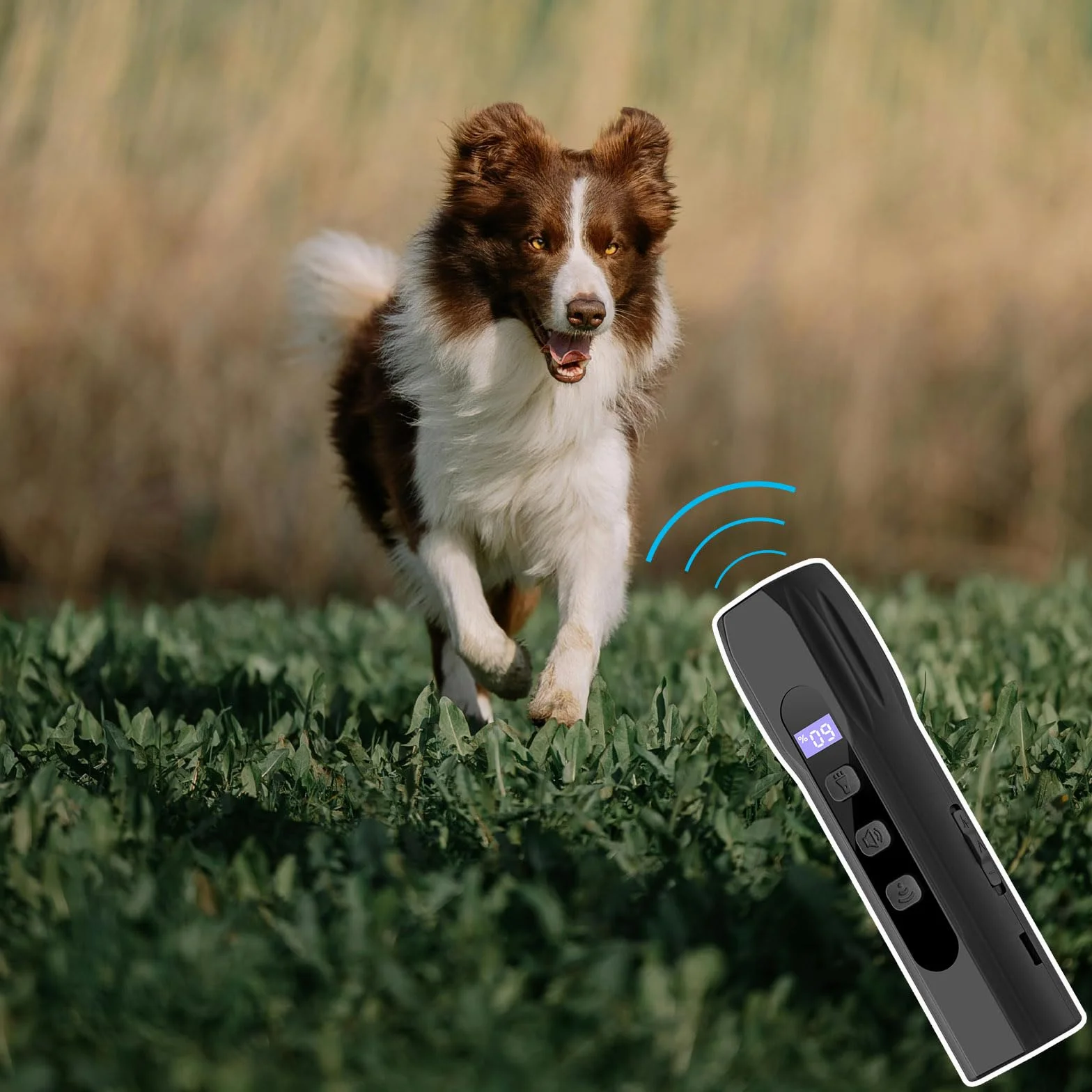 Répulsif à ultrasons pour chien avec lumière LED - Dispositif anti-aboiement - Entraînement du comportement - 3 fréquences - Bouton sonore durable - Pour intérieur et extérieur