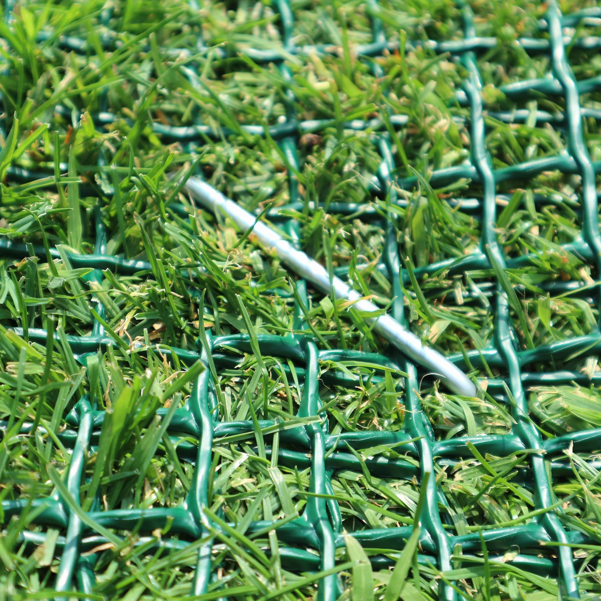 Tenax 1A130210 TR Filet Protège-Gazon Vert