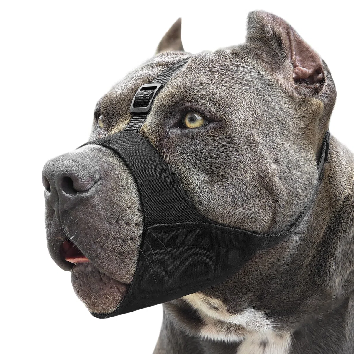 Mayerzon Muselière Souple en Tissu avec Sangle antidérapante, Anti Morsure, Anti Mastication, Laisse Boire l’Animal, pour Chien de Moyenne et Grande Taille, Pitbull, American Bully, Boxer, Rottweiler