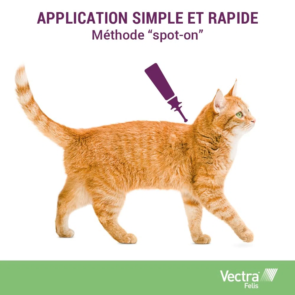 Vectra® Felis Solution Spot-on pour Chats - 3 pipettes