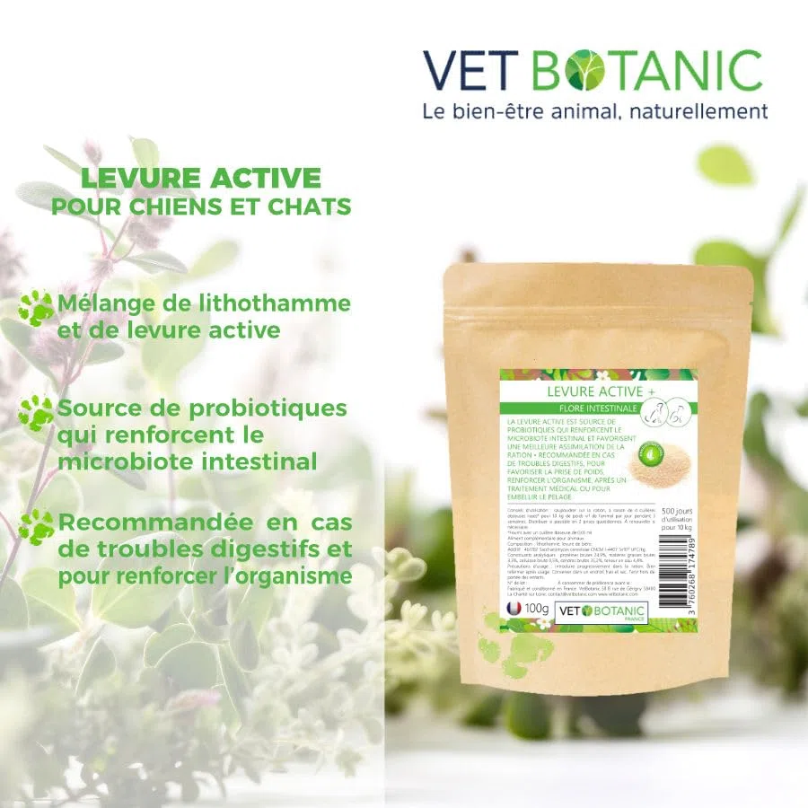 Levure Active - Probiotique pour Chiens et Chats, 100g - Vetbotanic