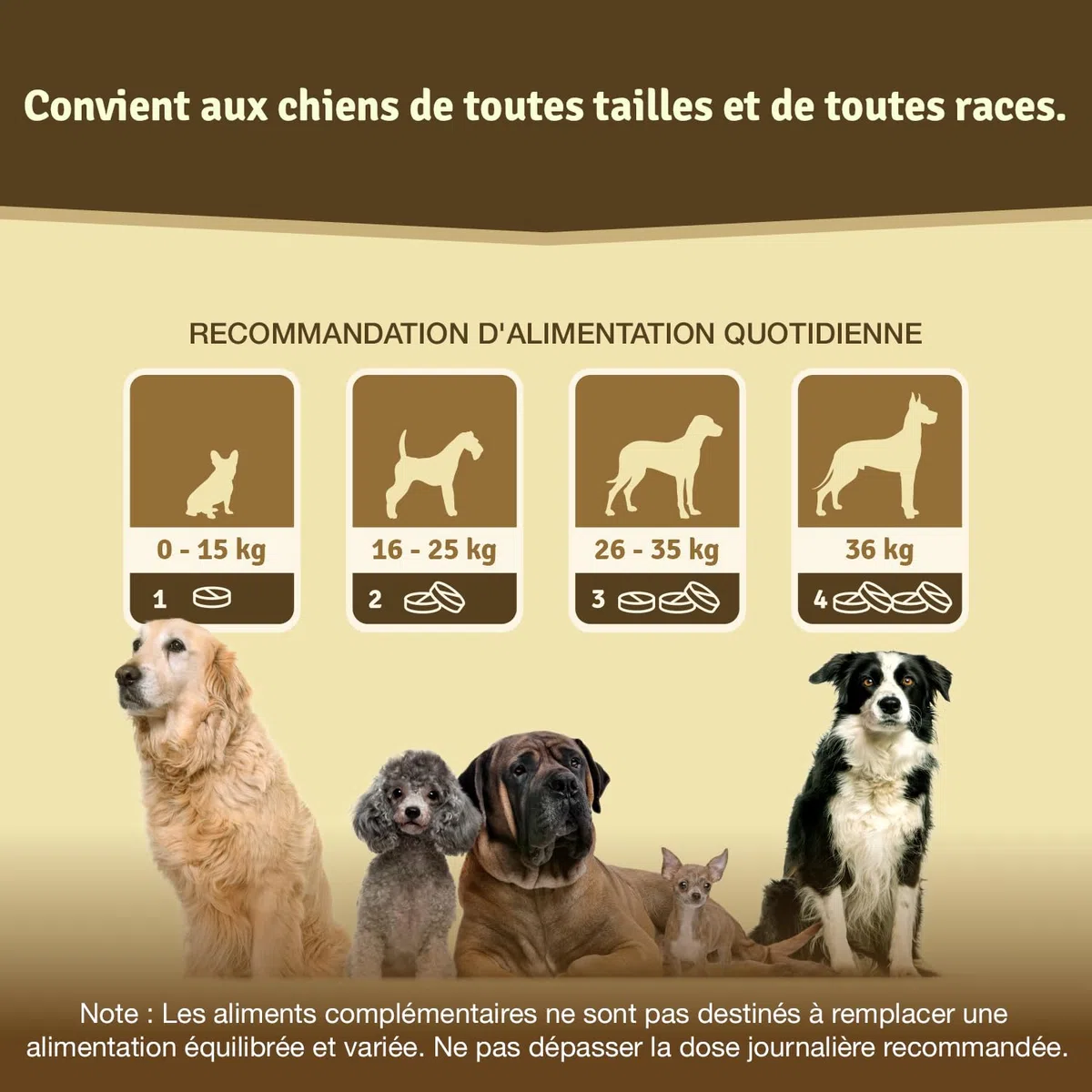 Veddelholzer LAURÉAT DE COMPARAISON DE Produits 2024 Comprimés Anti arthrose Chien articulations pour Chiens avec Moule aux orles Vertes MSM & Griffe du Diable, glucosamine & collagène 125 comprimés