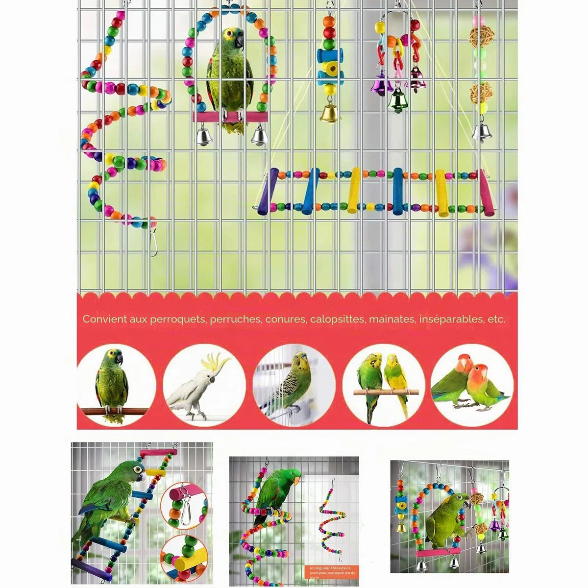 Baignoire pour Oiseaux, bac de Bain pour Oiseaux, boîte de Bain Transparente pour Petits Oiseaux, (boîte de Bain pour Oiseaux sans Fuite + 6 Jouets pour Oiseaux)