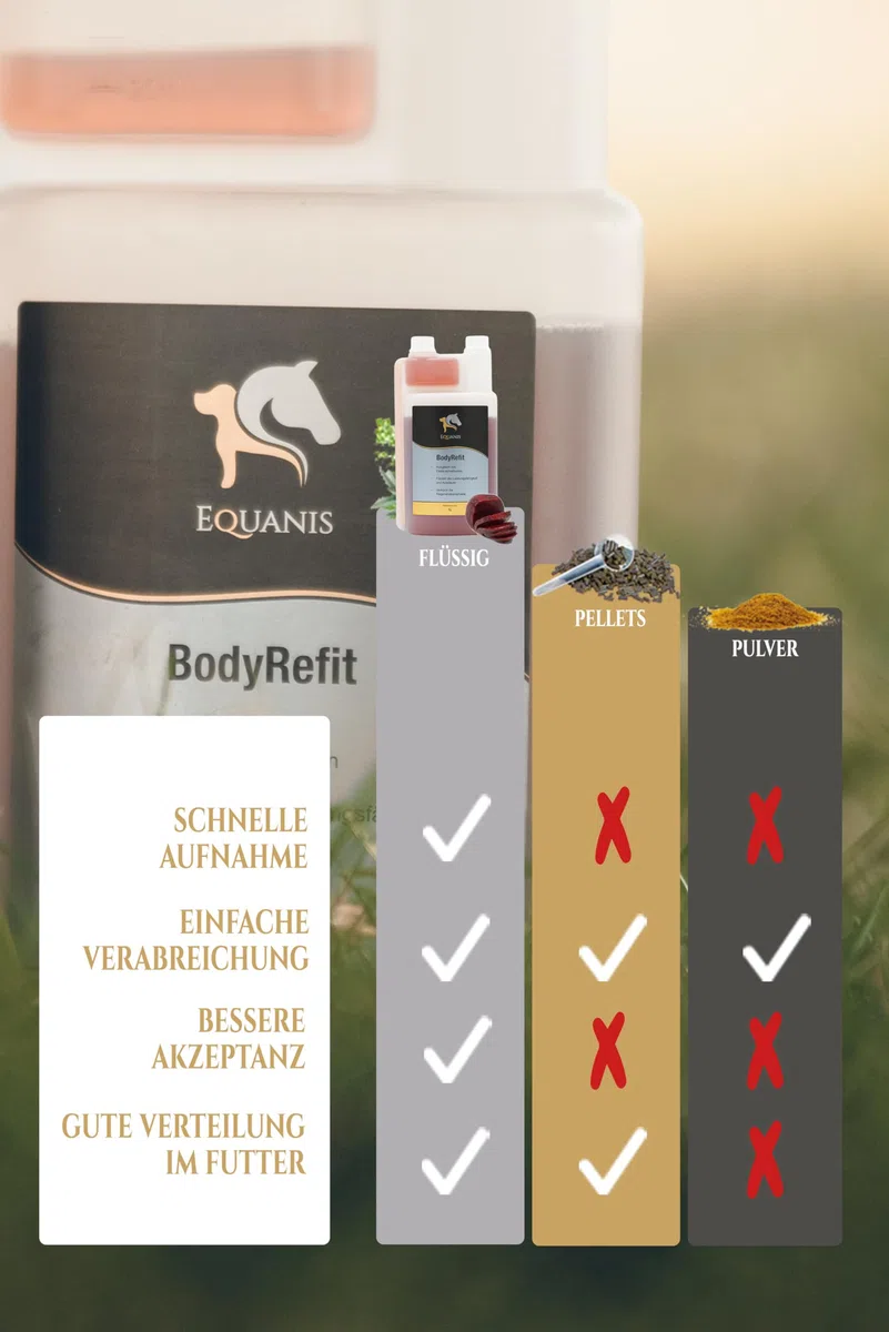 Equanis BodyRefit - Électrolytes pour chevaux en composition premium, peut prévenir les carences en électrolytes après une forte transpiration. Avec betteraves rouges au lieu de sucres ajoutés