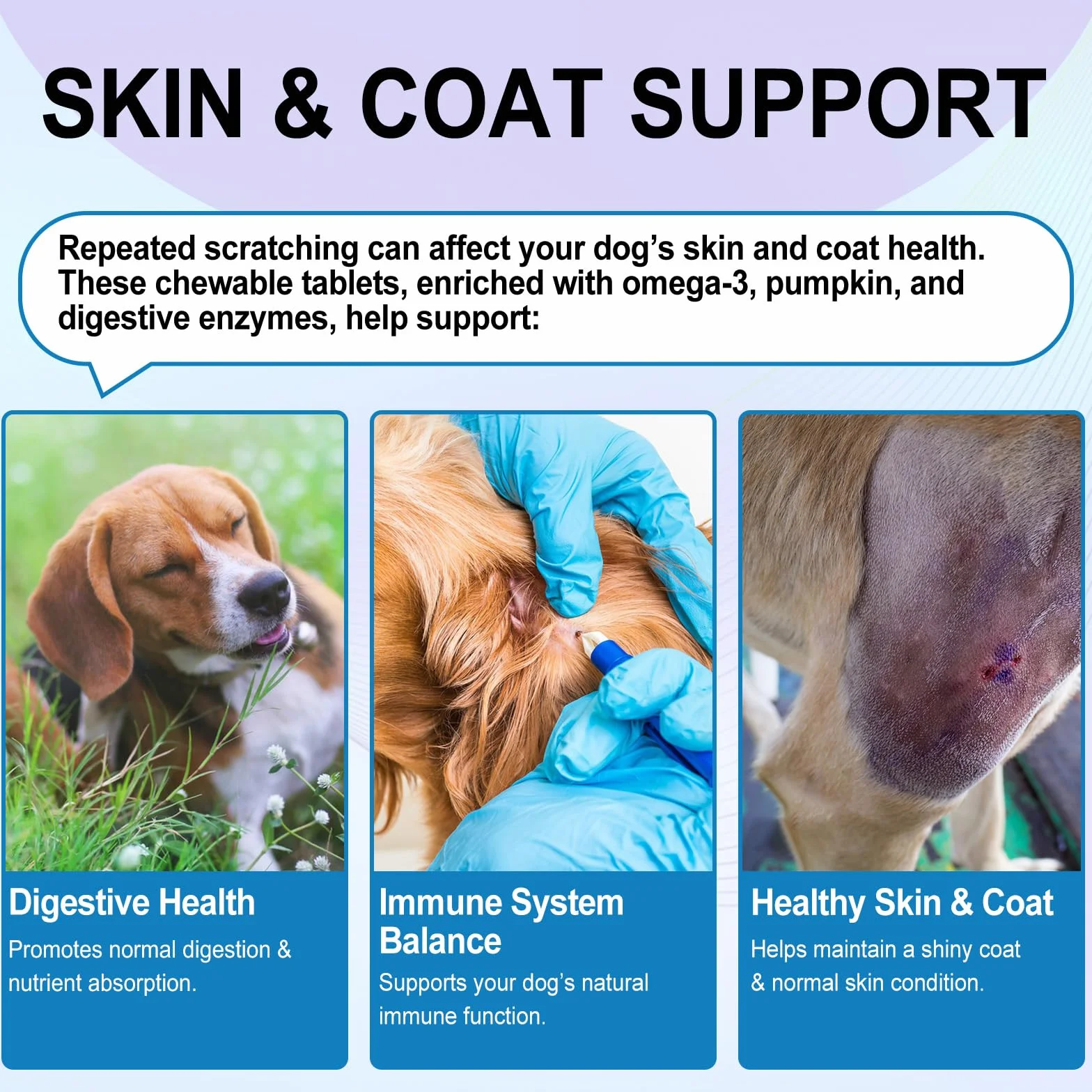 Immunothérapie Anti - Démangeaisons Pour Chiens Anti - Allergie Chien Anti - Allergie Comprimés À Croquer (150 Comprimés) Avec Oméga 3 Anti - Démangeaisons Et Points Chauds Anti - Démangeaisons Lécher