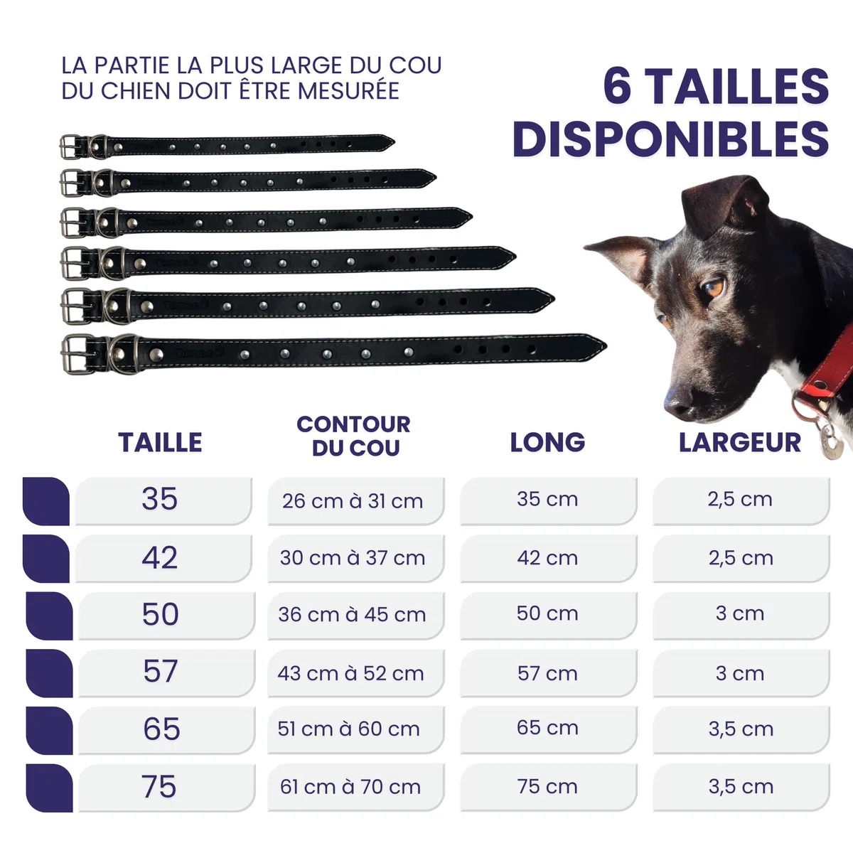 Collier pour Chien avec Filet de Protection pour Collier Anti Puces pour Chien, Collier Fait Main en Cuir de Haute Qualité Qui Protège et Prolonge la Durée du Antiparasitaire