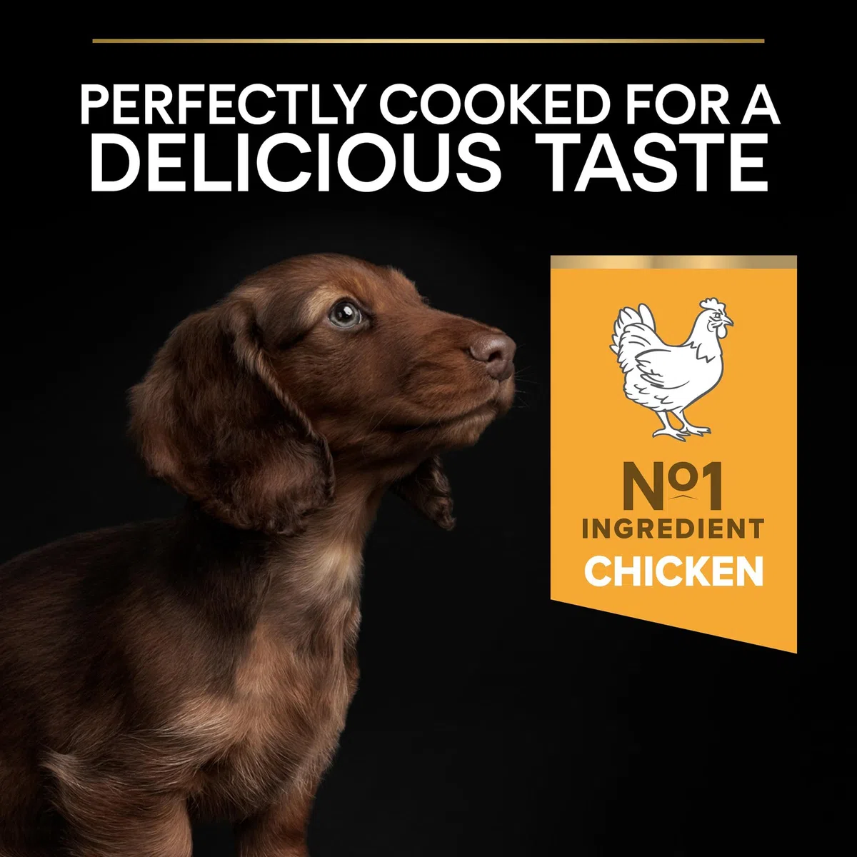 PRO PLAN Chien Small&Mini Puppy Healthy Start Poulet 3KG
