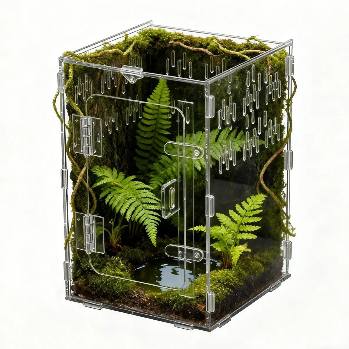 Terrarium pour Araignées - Boîte Habitat en Acrylique Transparent avec Caverne | Terrarium pour Reptiles - Convient pour Tortues, Dragons Barbus, Serpents, Tortues, Geckos, Bernard, Reptiles,