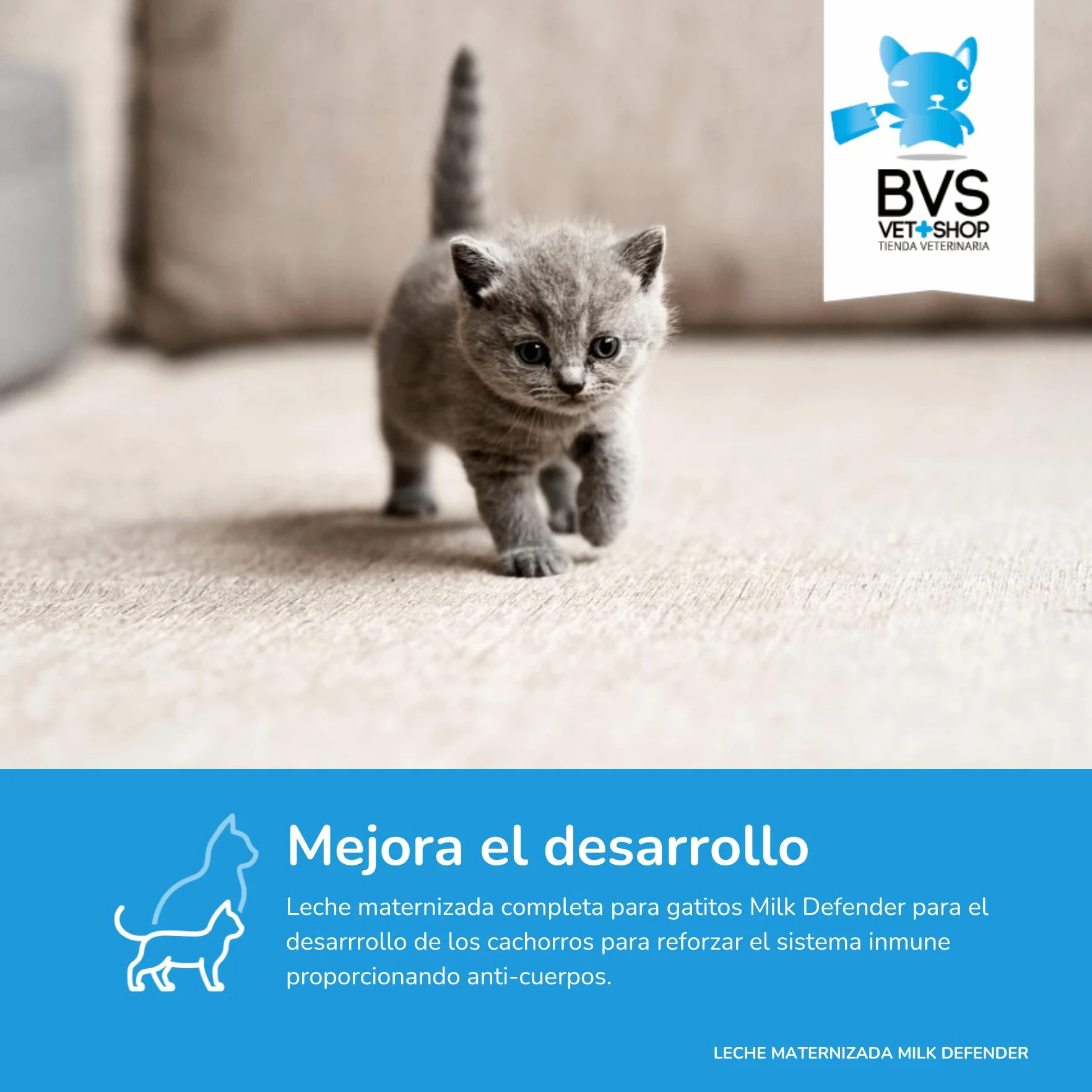 BVS Vet Shop | Lait maternisé Milk Defender pour Chatons | Aliment Complet pour l'allaitement Maternel pour Le Soin Optimal des Chatons | 1 unité x 140 g