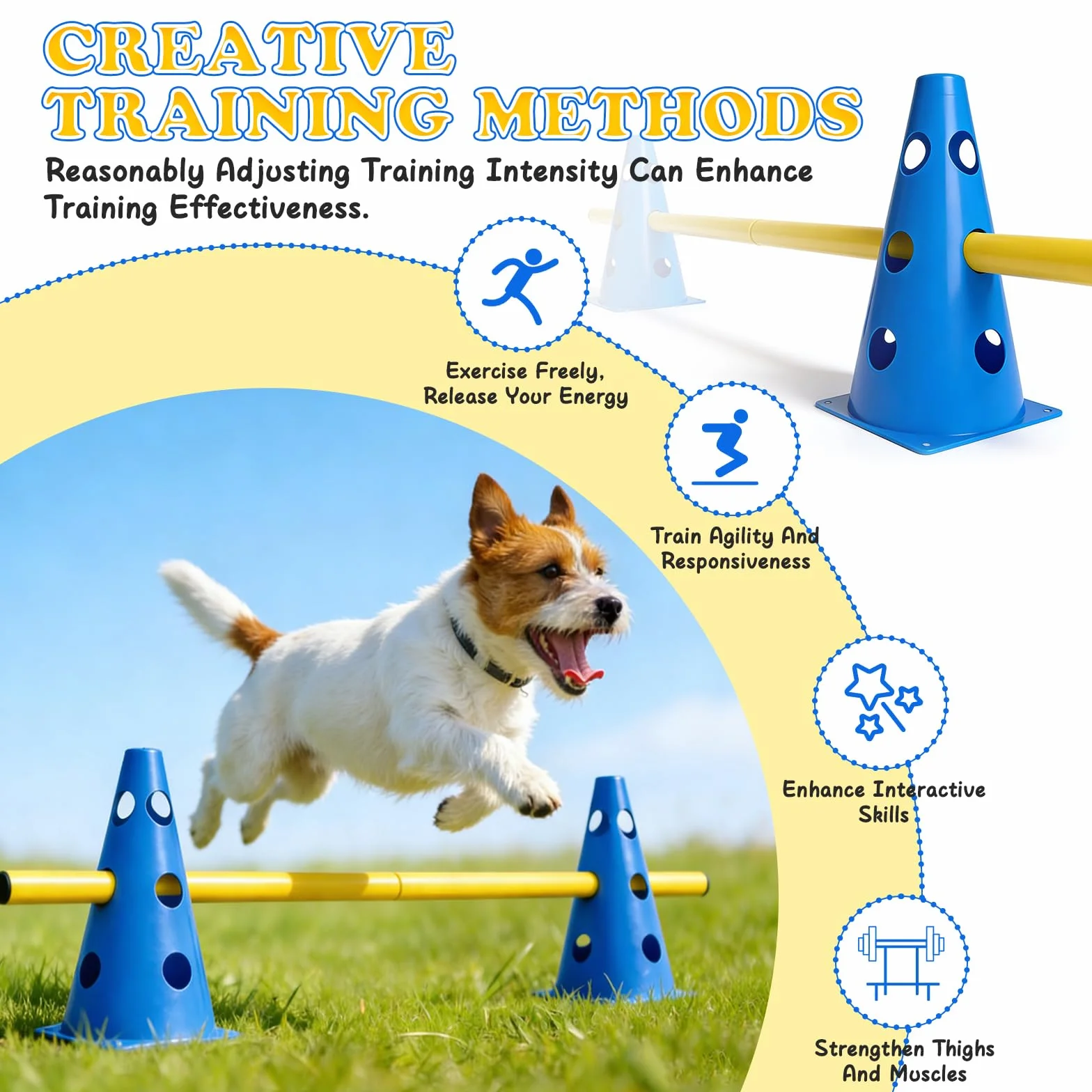 Ensemble D'agilité pour Chiens Ensemble de BarrièRes Enfichables pour Chiens, Kit d'obstacles RéglablesPour Le Les Sports Canins Les Sports équestres